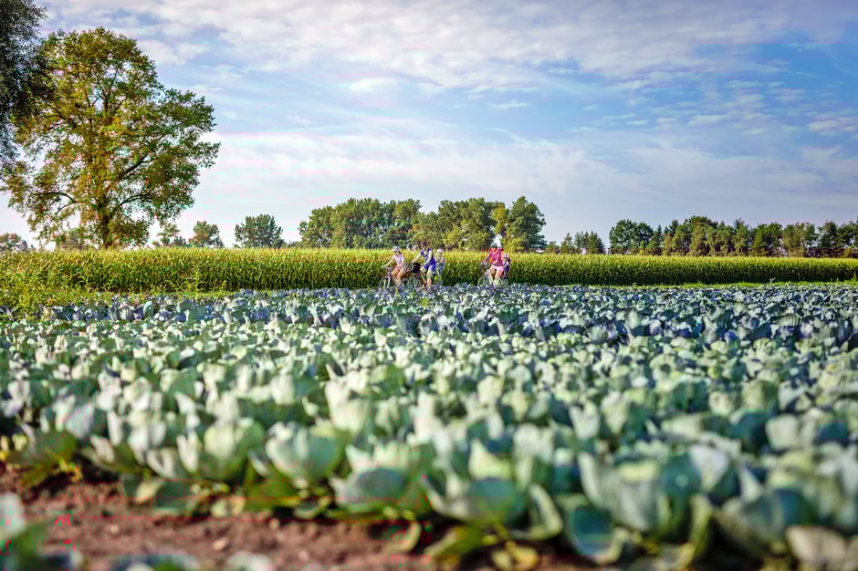 ©Fribourg-Region_Pascal-Gertschen