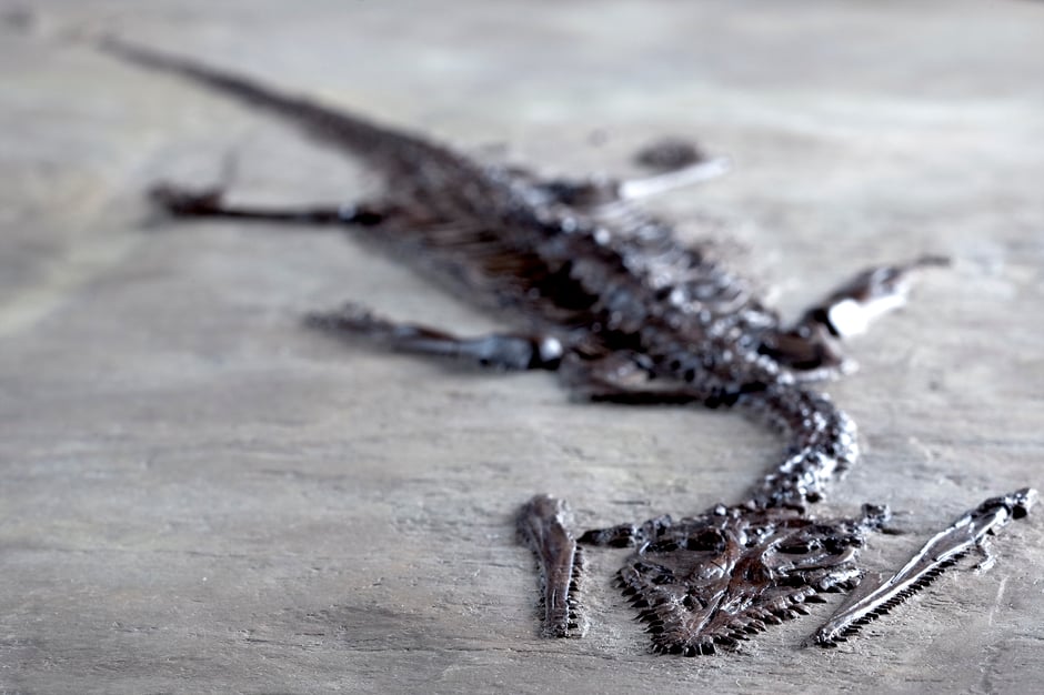 ©Tourismusorganisation Mendrisiotto