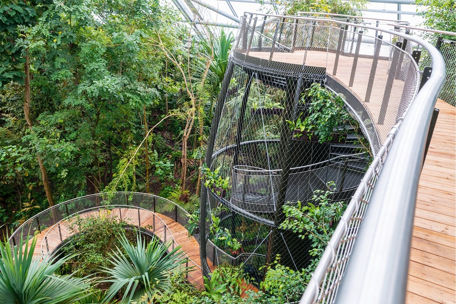 ©Zoo Zürich, Corinne Invernizzi