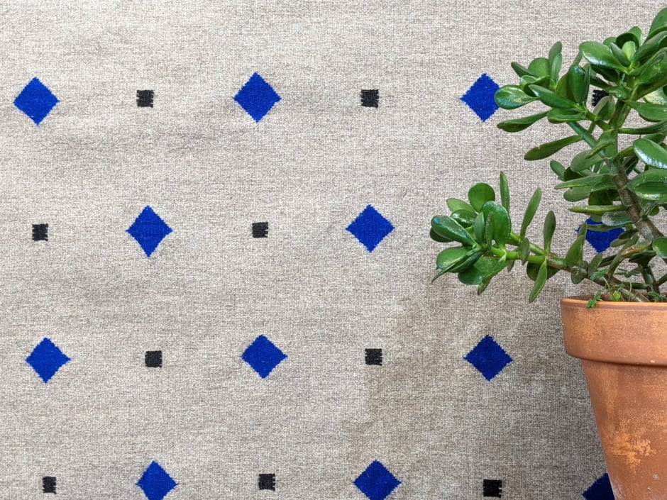Detail d'un kilim tapis en laine gris clair motifs losanges bleus et carrés noirs, avec, à droite, une plante succulente en pot de terre cuite.