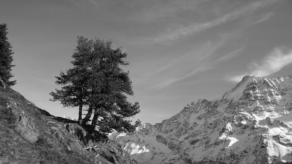 Blick gegen gegen Osten