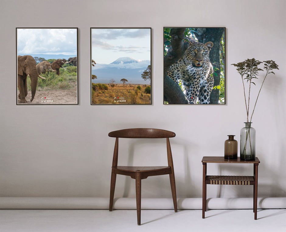 Foto Glück Fineart Prints Afrika