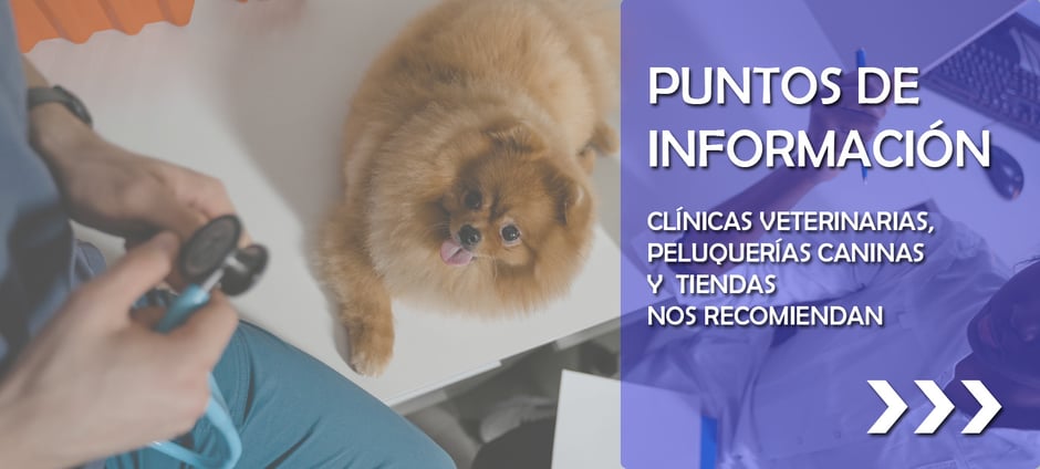 Si quieres saber donde puedes contratar servicios de educación canina, modificación de conducta, formación profesionales o cursos de cachorros y obediencia 