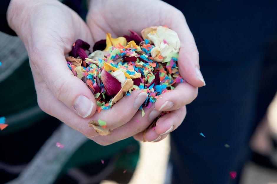 © Carruthers & Hobbs/istockphoto.com/akz-o