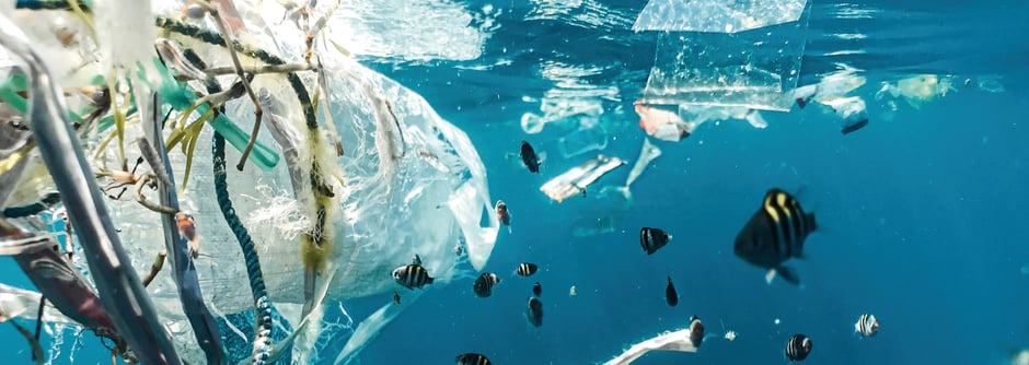 © markus-spiske/unsplash.de