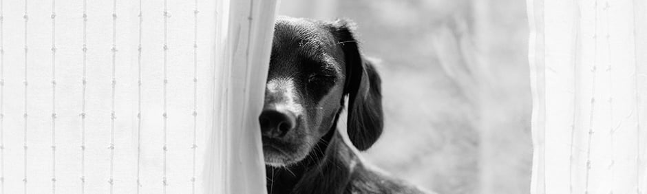 © Roman Kraft, www.unsplash.com