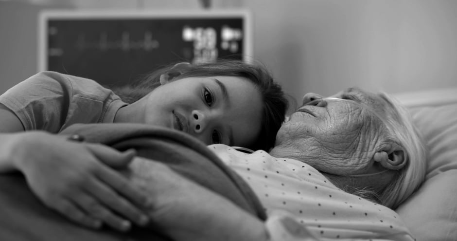 ©  Anatoly-stock.adobe.com