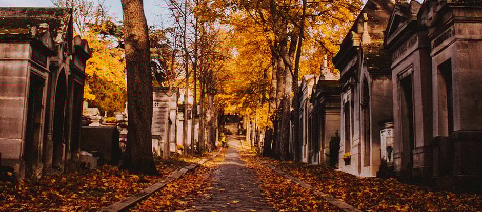 Foto © Mathias-P-R-Reding/unsplash.com