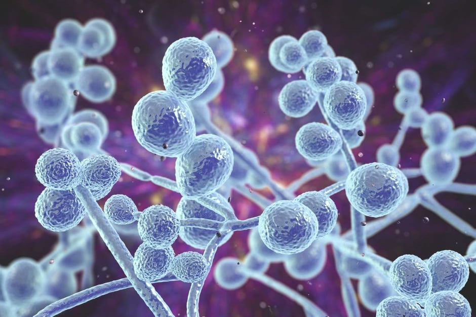 Addressing yeast overgrowth can significantly improve digestion and mood