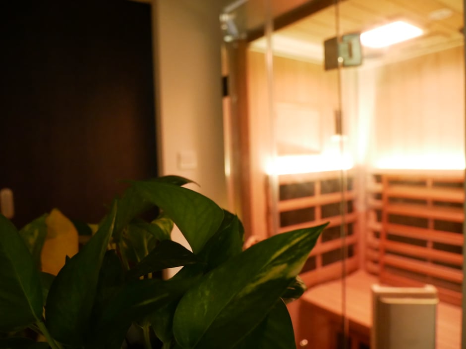 Levitise's Full Spectrum Infrared Sauna is 100% private with an ensuite bathroom, toilet, shower, Dyson hairdryer and organic soaps, shampoo and conditioner.