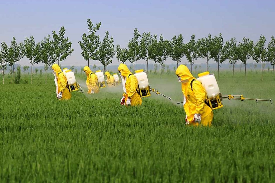 Reducing environmental toxin exposure may reduce developmental challenges