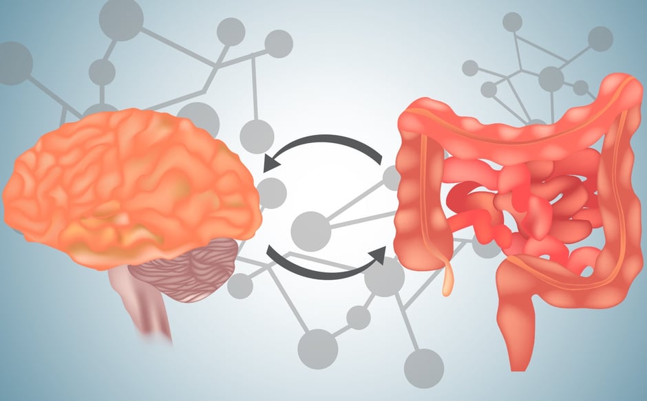 Gut health is key in understanding and managing autism-related behaviours