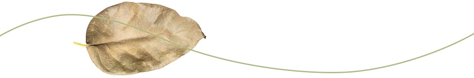 Der-Erbschaftscoach-Elmar-Fischer-erben-vererben