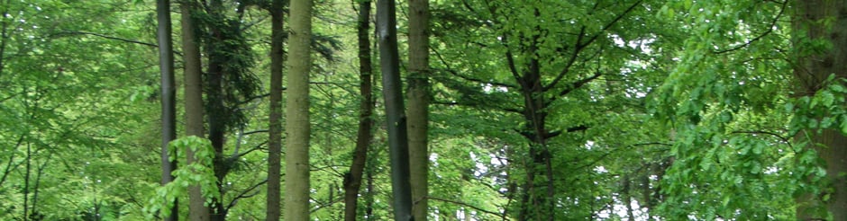 Informationen und Wissenswertes über WohnRaum auf unserem Blog.