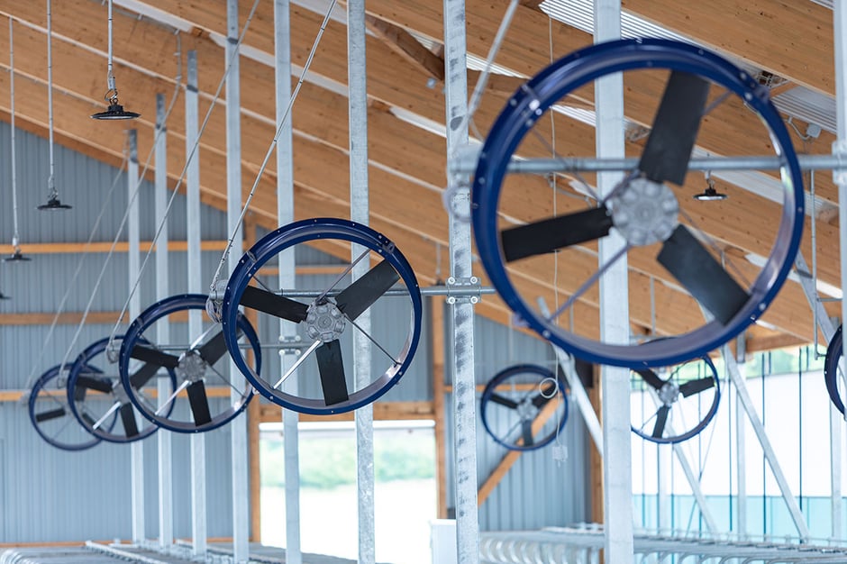 MD EC-FLOW Großvieh-Stallventilator zur Vermeidung von Hitzestrss im Kuhstall