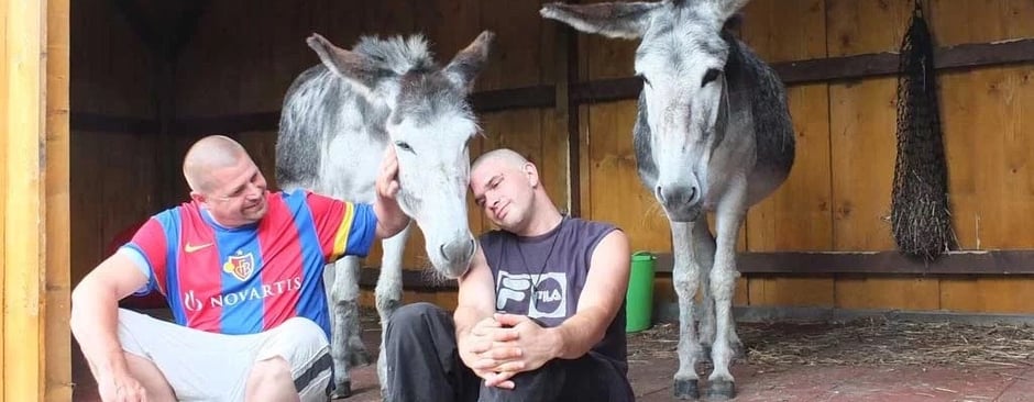 © Foto: Frankfurter Verein für soziale Heimstätten