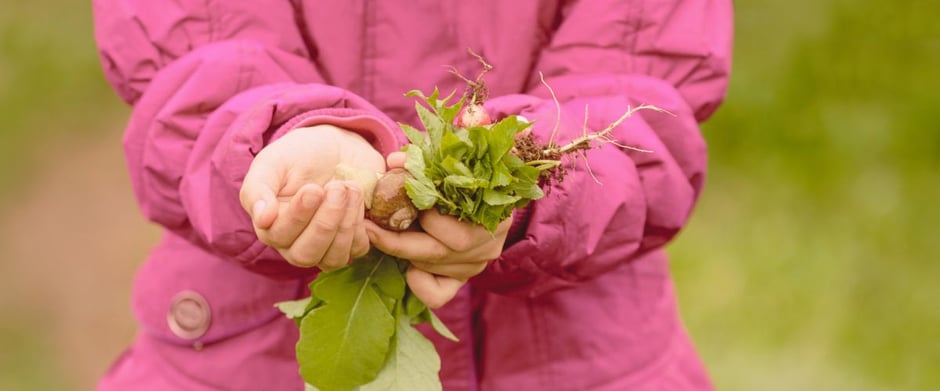 Begleitung im Homeschooling durch Primarlehrerin für Kinder von 8 - 12 Jahren