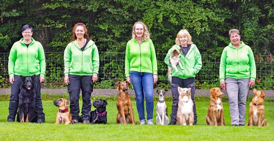 willkommen bei gooddog 