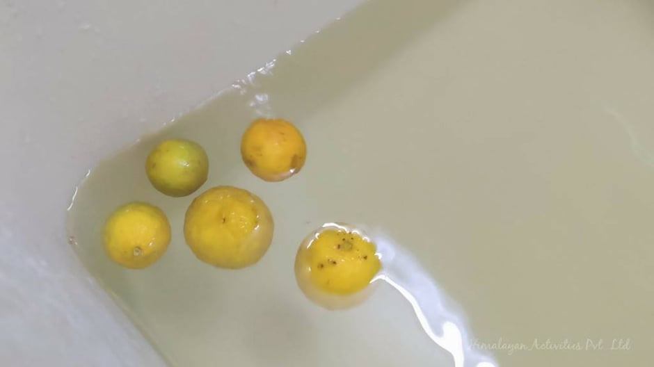 カトマンズで柚子湯