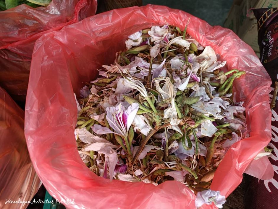 コイラロ（エディブルフラワー）