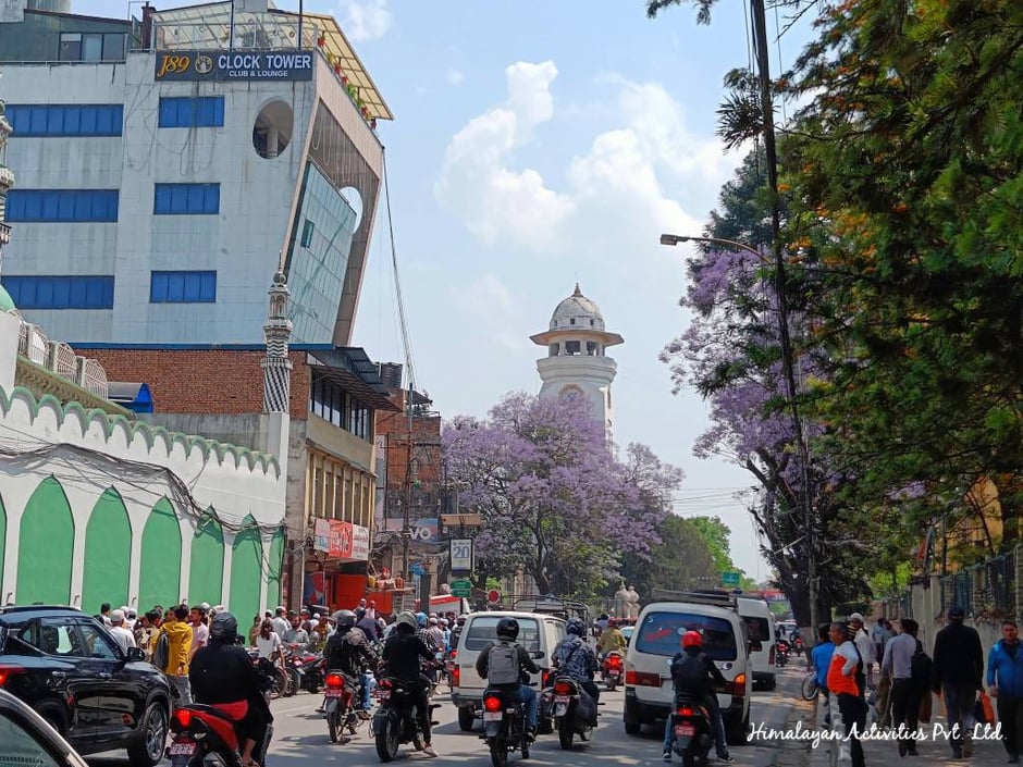 ガンタガール(時計塔)とジャカランダ