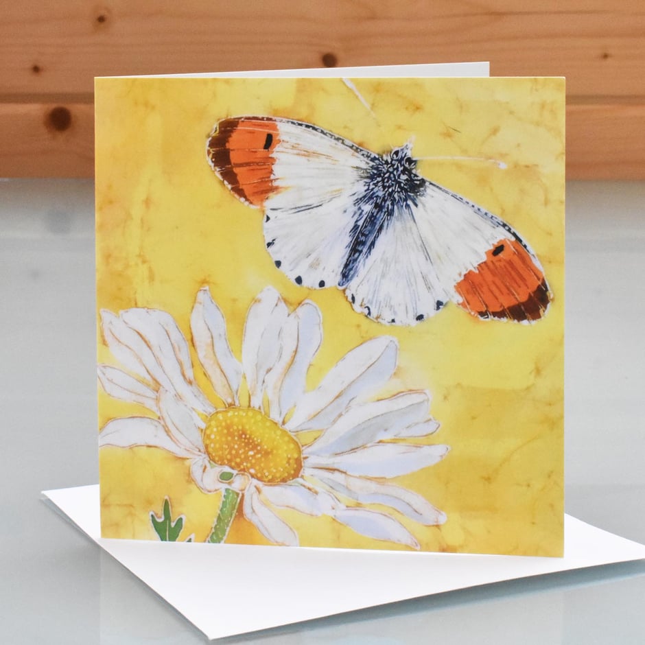 Orange Tip Butterfly & Daisy Art Card blank inside greeting card