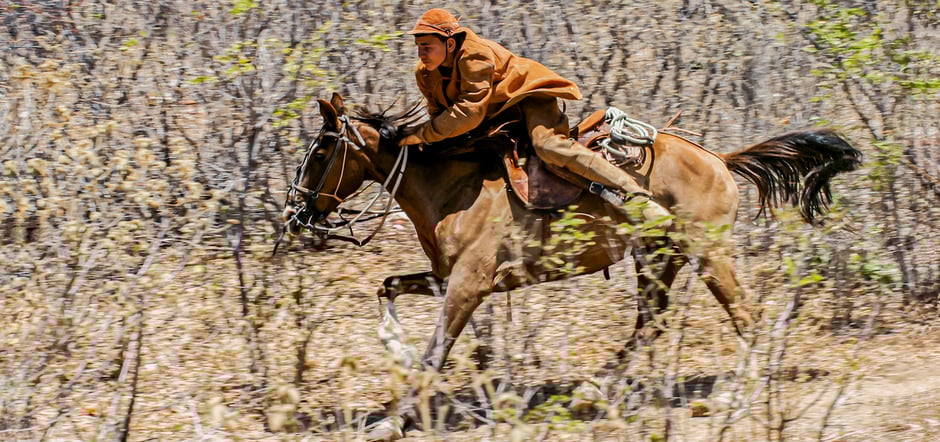 cowboys, serrita, brasilien, cowboy messe, rodeo, markt, pernambuco, reiterspiele, reisebericht brasilien, volksfest, konzerte