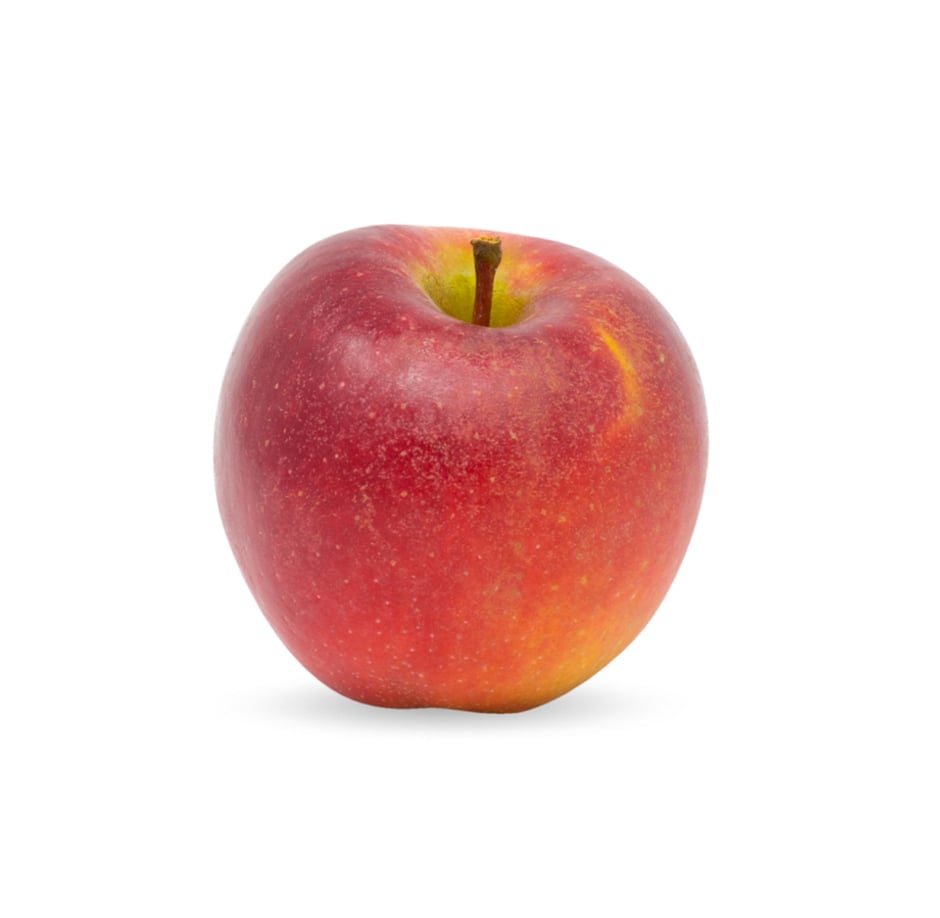 Giga Ipador Biosüdtirol