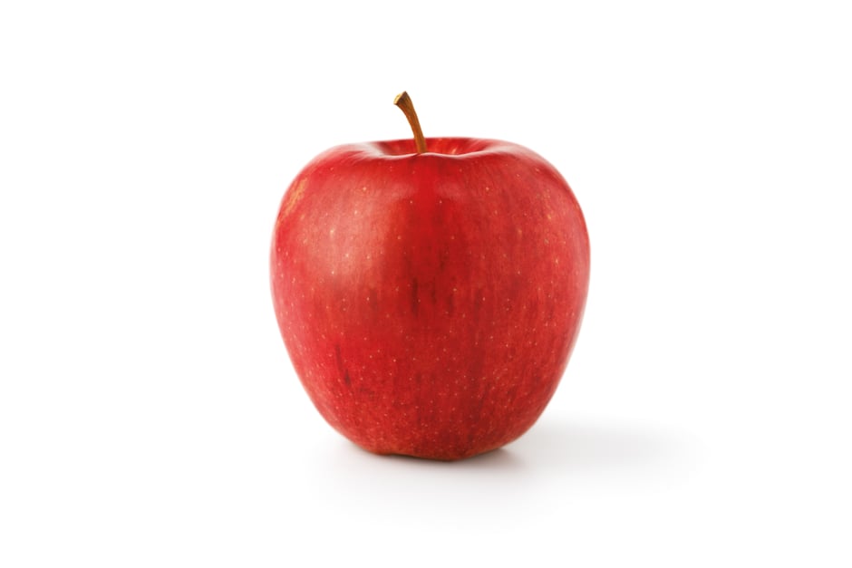 envy™ Scilate Biosüdtirol