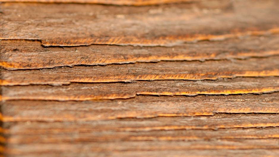 天然木の暖かさ