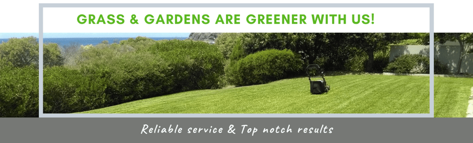 Clip n Clean grass & gardens  are greener with us!