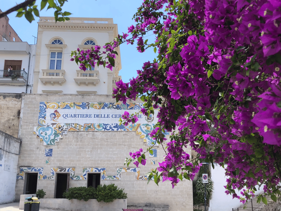 Bougainville bunte Blüten in Quartiere delle ceramiche in Grottaglie