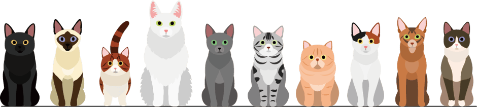 ペットシッター　福岡　女性スタッフ　犬　猫