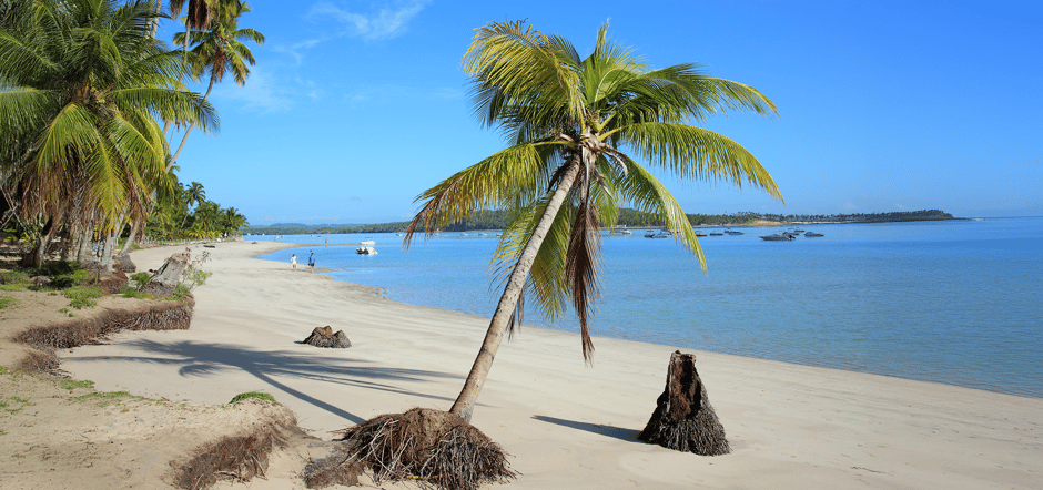 praia dos carneiros, catamarã, praia dos sonhos, coqueiros, paraíso costeiro, areia branca, vida de praia, água cristalina, tamandaré, brasil, oxente travel