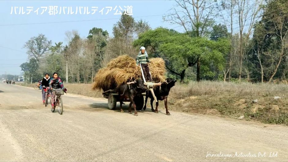 バルディア郡バルバルディアの公道