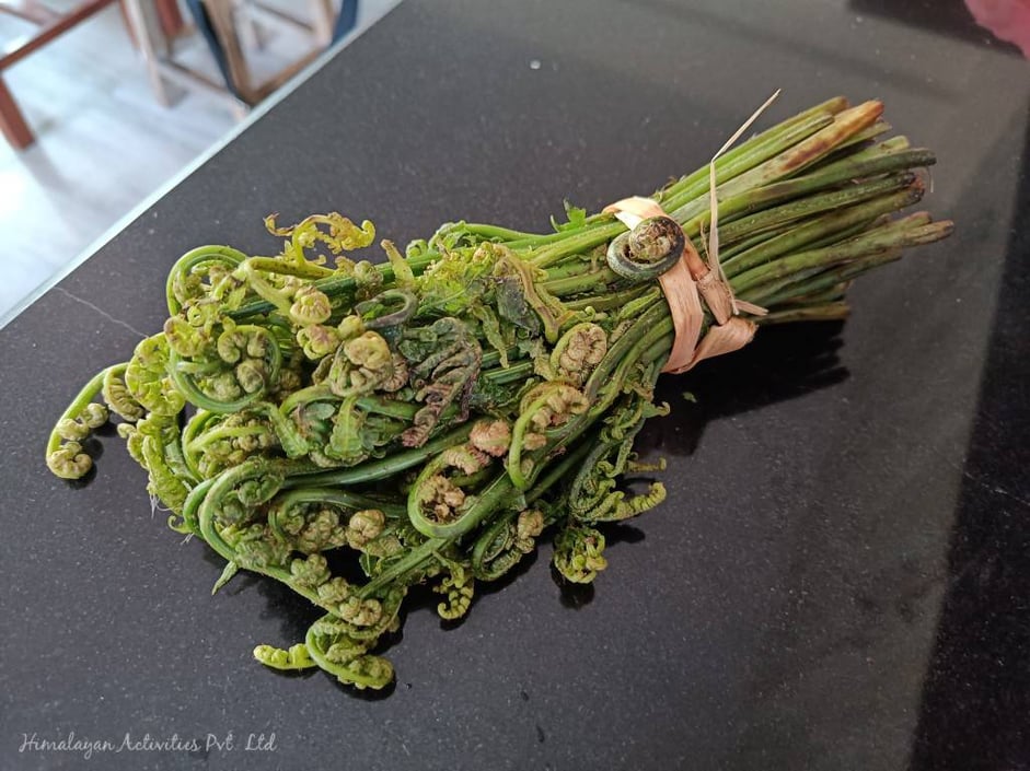 ネパールのこごみ(ぜんまい)