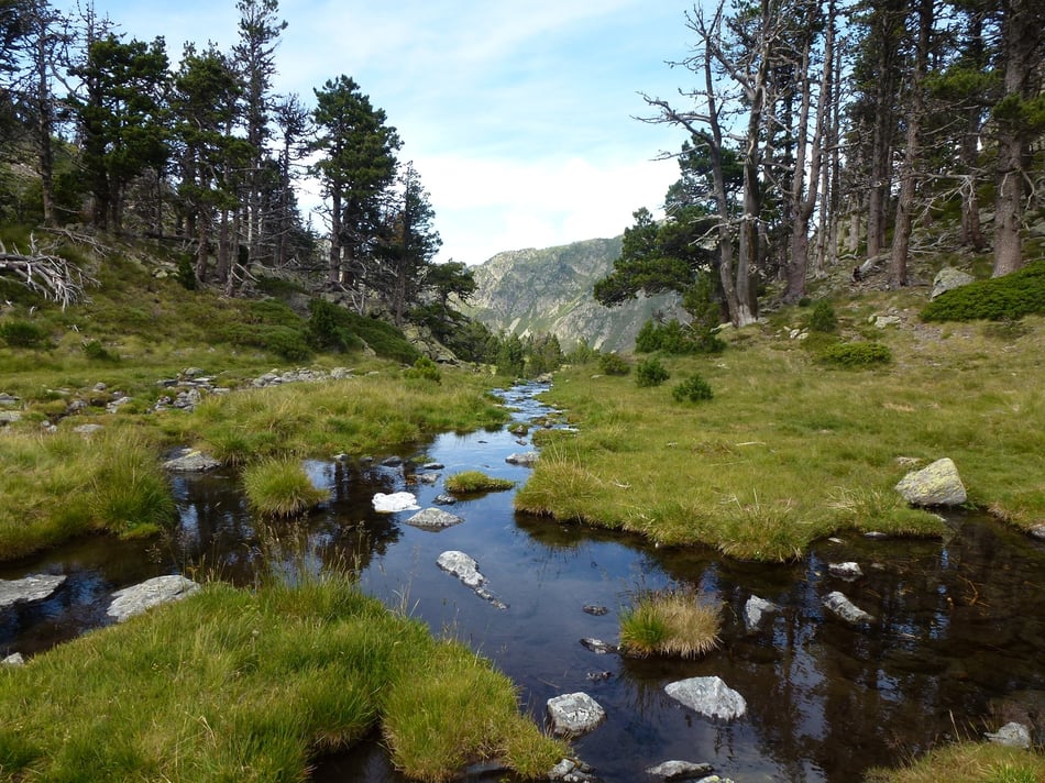 Et au milieu coule un ruisseau