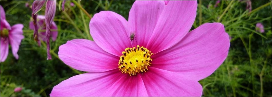 Sonja Zangger, Zürich