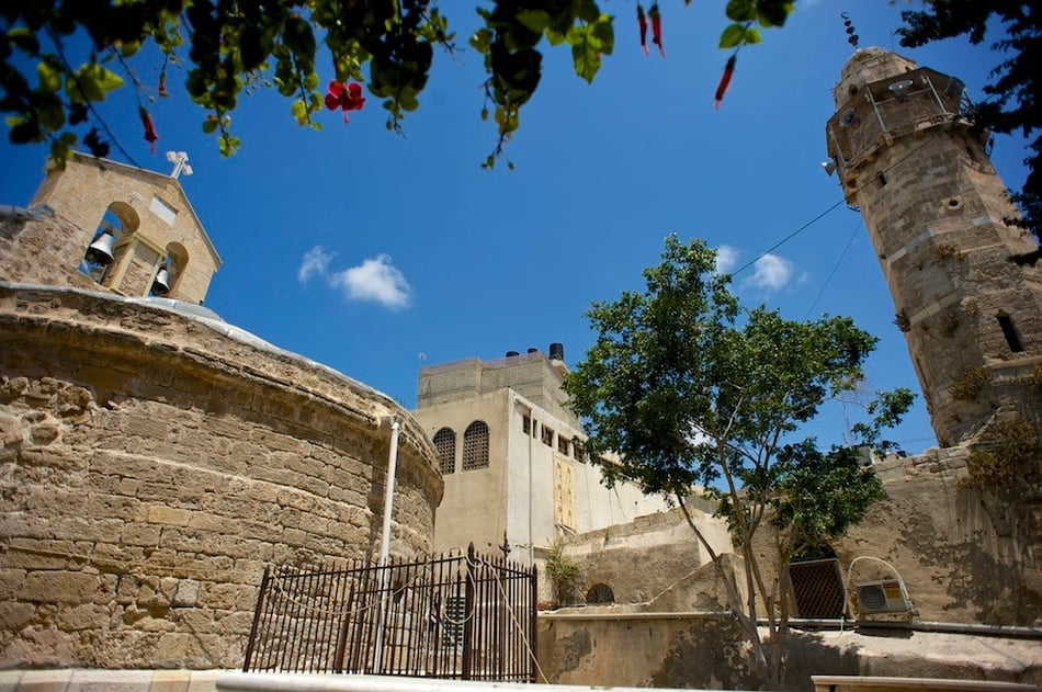 The Greek Orthodox church and the mosque in Old Gaza City  - Palestine © François Struzik - simply human 2015