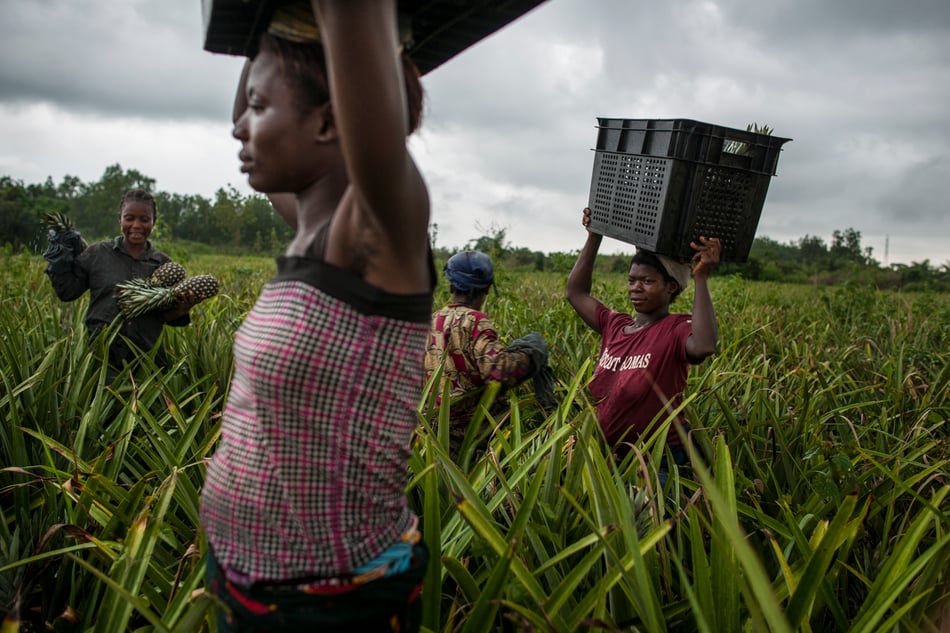 François STRUZIK - simply human - human rights