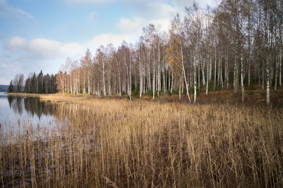 Fall in Dalsland Sweden  © François Struzik - simply human