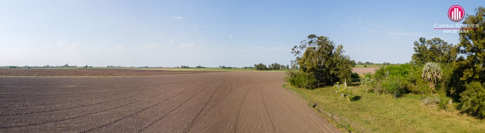 Carina Rossier Inmobiliaria Vende Campo en Arroyo Barú, Entre Ríos. Se venden 58 hectáreas de campo en zona Colonia San Huberto Entre Ríos. #Campo #Ganadería #Agricultura #EntreRíos #CamposEntrerrianos Comercializa Carina Rossier Inmobiliaria VCAM-012