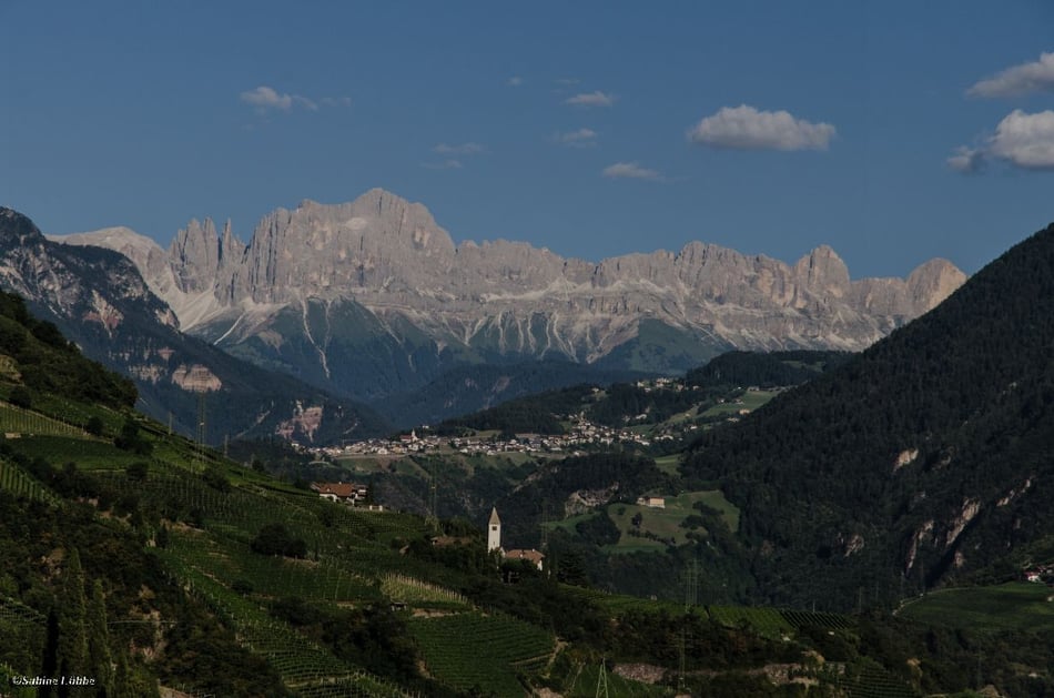 Rosengartengruppe und Weinberge
