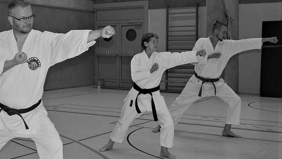 Drei Karate-Schüler des Karate-Verein-Schleswig zeigen eine spezielle Schlagtechnik namens "Junzuki no tsukomi".