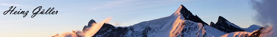 heinz-gueller.ch