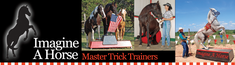 imagineahorse.com