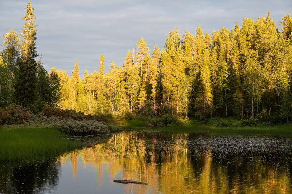 Immerhin gibt es hier zum Teil sehr schön angelegte und gelegene Übernachtungsplätze