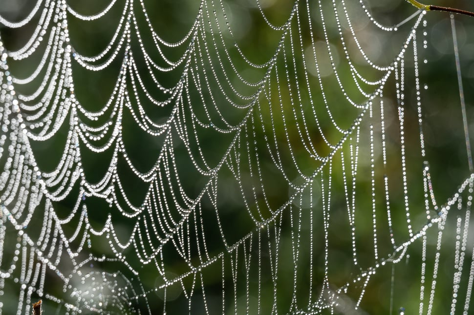 Kein Zweifel: Es wird Herbst!