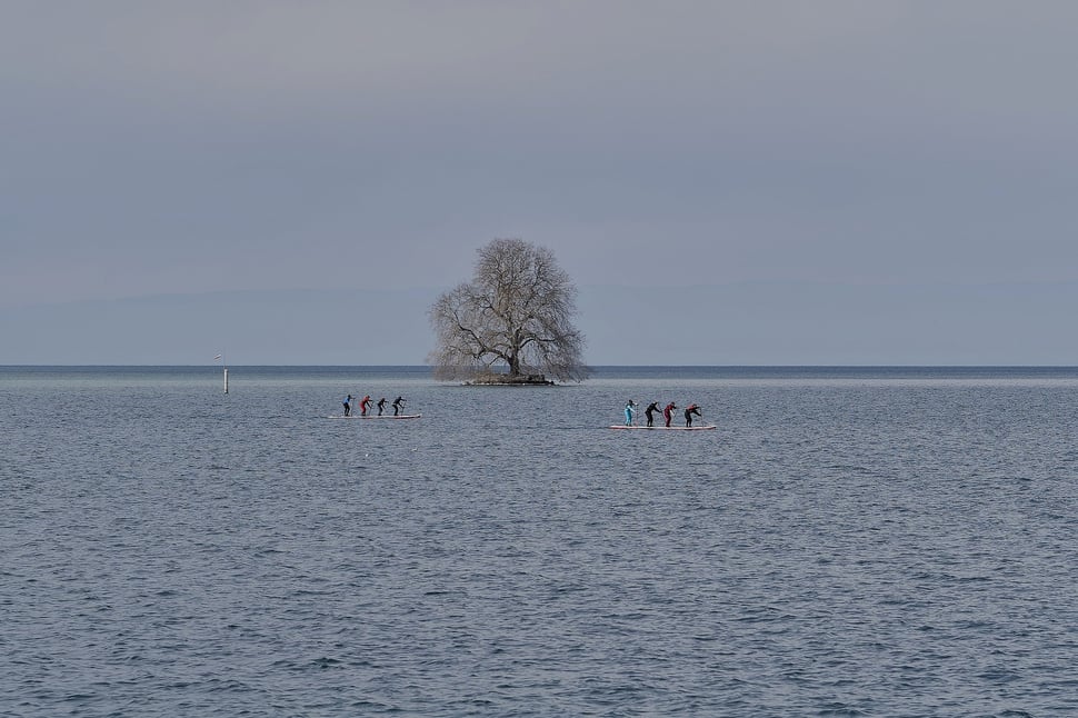 The image shows two stand-up paddleboards each carrying 4 people, moving along the shore of Lake Geneva. In the background, a small island with a single tree can be seen.