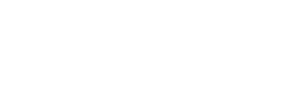 Showgruppe Petticoat